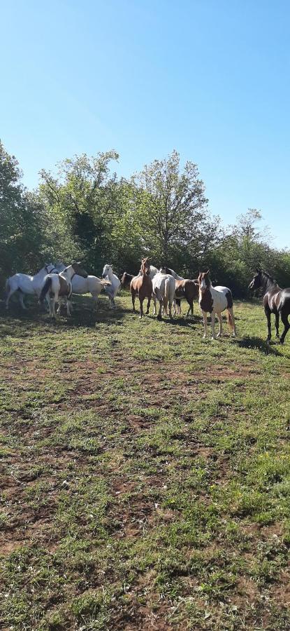 Gites les écuries Saserang Mouilleron Exterior foto